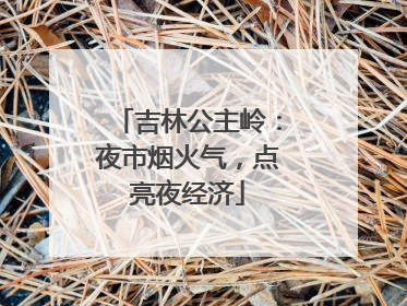 吉林公主岭：夜市烟火气，点亮夜经济