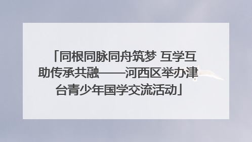 同根同脉同舟筑梦 互学互助传承共融——河西区举办津台青少年国学交流活动