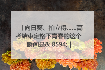 向日葵、拍立得……高考结束定格下青春的这个瞬间是& 8594;｜2025四川高考