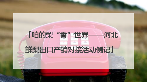 咱的梨“香”世界——河北鲜梨出口产销对接活动侧记