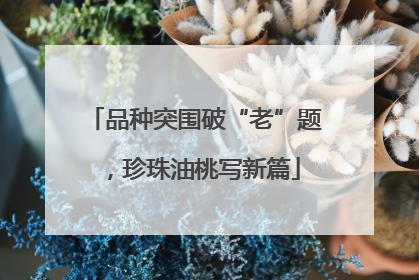 品种突围破“老”题，珍珠油桃写新篇