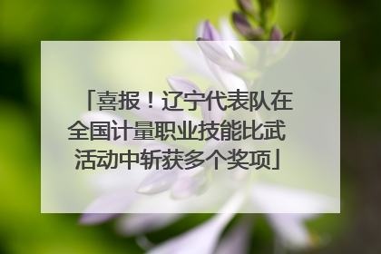喜报！辽宁代表队在全国计量职业技能比武活动中斩获多个奖项