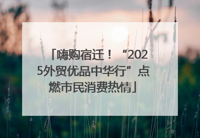 嗨购宿迁！“2025外贸优品中华行”点燃市民消费热情