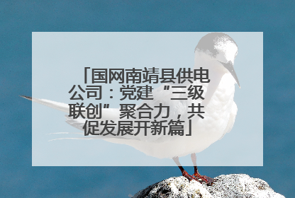 国网南靖县供电公司：党建“三级联创”聚合力，共促发展开新篇