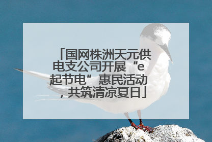 国网株洲天元供电支公司开展“e起节电”惠民活动，共筑清凉夏日