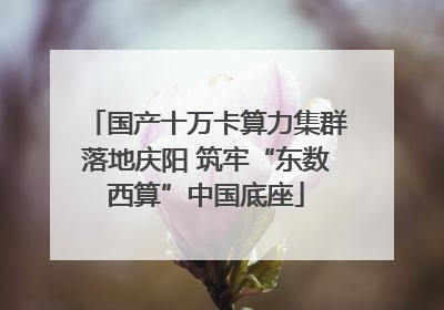 国产十万卡算力集群落地庆阳 筑牢“东数西算”中国底座