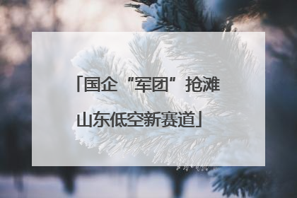 国企“军团”抢滩山东低空新赛道