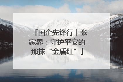 国企先锋行丨张家界：守护平安的那抹“金盾红”