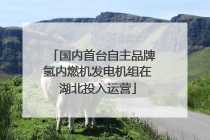 国内首台自主品牌氢内燃机发电机组在湖北投入运营