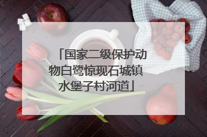 国家二级保护动物白鹭惊现石城镇水堡子村河道