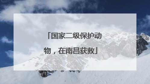 国家二级保护动物，在南昌获救