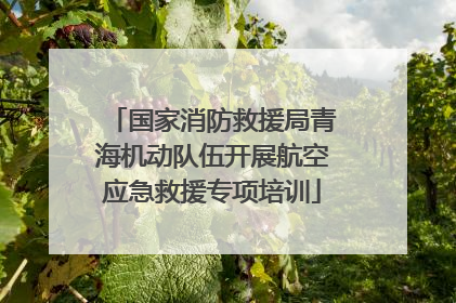 国家消防救援局青海机动队伍开展航空应急救援专项培训