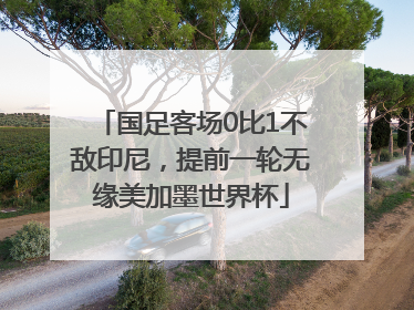国足客场0比1不敌印尼，提前一轮无缘美加墨世界杯