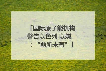 国际原子能机构警告以色列 以媒：“前所未有”