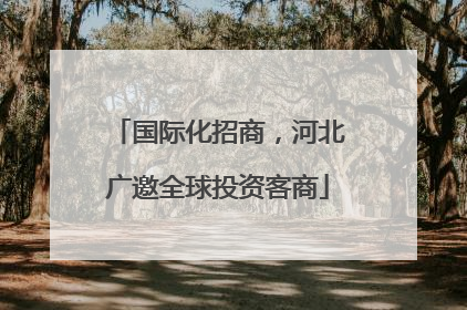 国际化招商，河北广邀全球投资客商