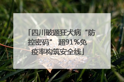 四川破题狂犬病“防控密码” 超91%免疫率构筑安全线