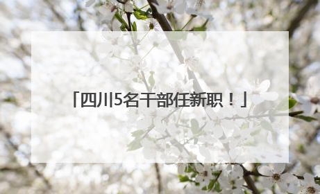 四川5名干部任新职！
