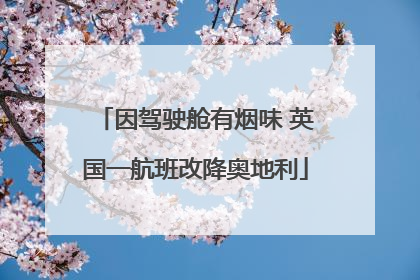 因驾驶舱有烟味 英国一航班改降奥地利