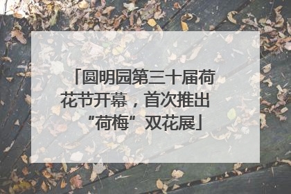 圆明园第三十届荷花节开幕，首次推出“荷梅”双花展