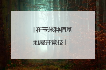 在玉米种植基地展开竞技