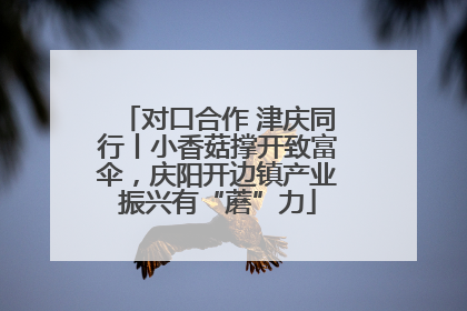 对口合作 津庆同行丨小香菇撑开致富伞，庆阳开边镇产业振兴有“蘑”力