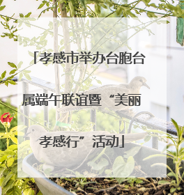 孝感市举办台胞台属端午联谊暨“美丽孝感行”活动