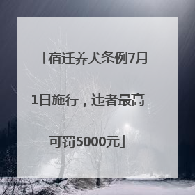 宿迁养犬条例7月1日施行，违者最高可罚5000元