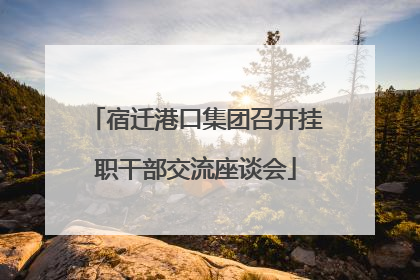宿迁港口集团召开挂职干部交流座谈会