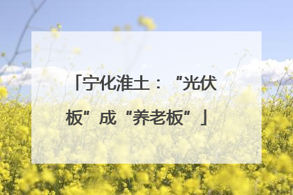 宁化淮土：“光伏板”成“养老板”