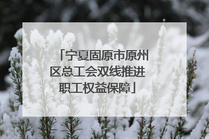 宁夏固原市原州区总工会双线推进职工权益保障