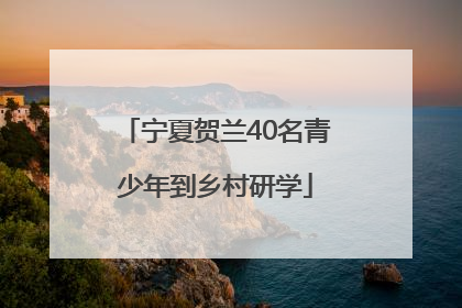 宁夏贺兰40名青少年到乡村研学