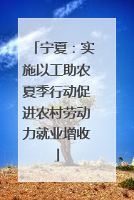 宁夏：实施以工助农夏季行动促进农村劳动力就业增收
