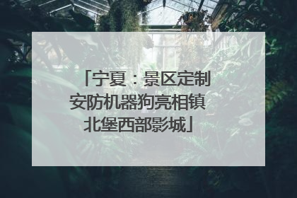 宁夏：景区定制安防机器狗亮相镇北堡西部影城