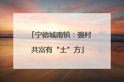 宁德城南镇：强村共富有“土”方