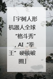 宇树人形机器人全球“格斗秀”，AI“拳王”硬核破圈