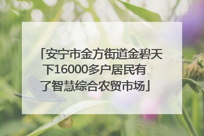 安宁市金方街道金碧天下16000多户居民有了智慧综合农贸市场