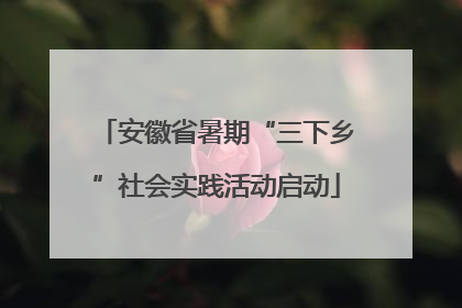 安徽省暑期“三下乡”社会实践活动启动