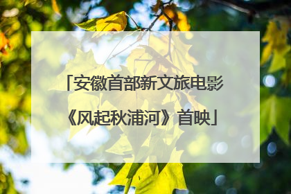 安徽首部新文旅电影《风起秋浦河》首映
