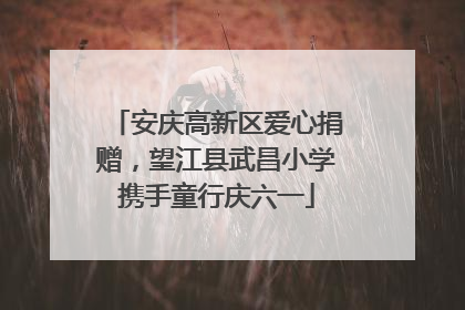 安庆高新区爱心捐赠，望江县武昌小学携手童行庆六一