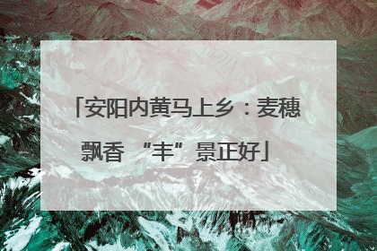 安阳内黄马上乡：麦穗飘香 “丰”景正好