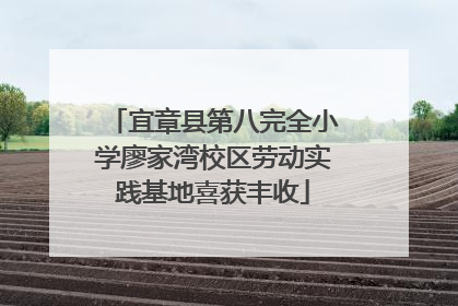 宜章县第八完全小学廖家湾校区劳动实践基地喜获丰收
