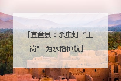 宜章县：杀虫灯“上岗” 为水稻护航