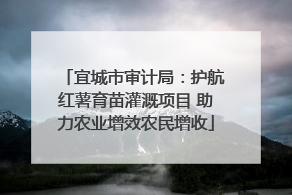 宜城市审计局：护航红薯育苗灌溉项目 助力农业增效农民增收