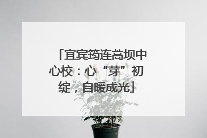 宜宾筠连蒿坝中心校：心“芽”初绽，自暖成光