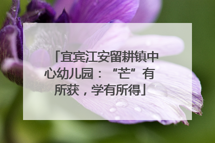 宜宾江安留耕镇中心幼儿园：“芒”有所获，学有所得