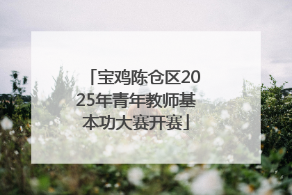 宝鸡陈仓区2025年青年教师基本功大赛开赛