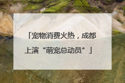宠物消费火热，成都上演“萌宠总动员”
