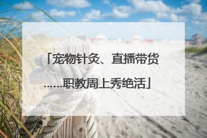 宠物针灸、直播带货……职教周上秀绝活