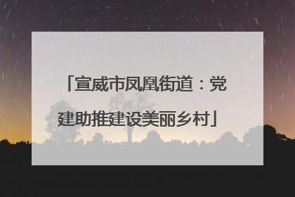 宣威市凤凰街道：党建助推建设美丽乡村