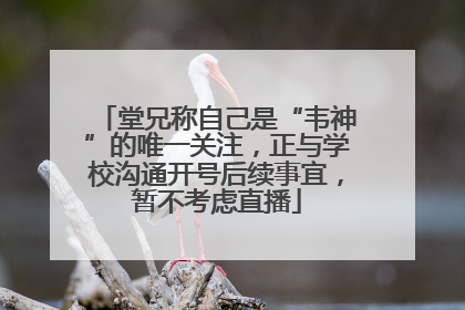 堂兄称自己是“韦神”的唯一关注，正与学校沟通开号后续事宜，暂不考虑直播
